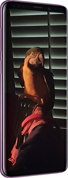 Abbildung eines Galaxy S9+, das auf dem Display ein Bild zeigt, das mit einem Galaxy S9 oder Galaxy S9+ bei wenig Licht aufgenommen wurde