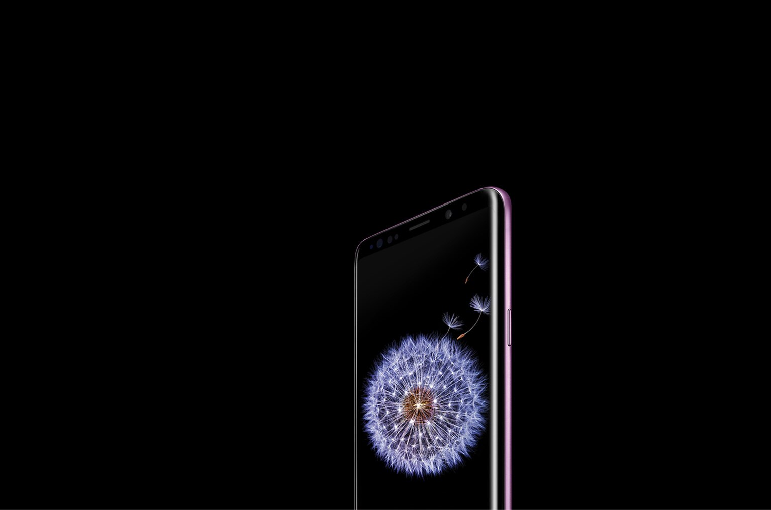 갤럭시 S9+ 제품이 비스듬한 각도로 정면을 향하고 있으며 스크린에서는 민들레 홀씨가 날리고 있습니다.