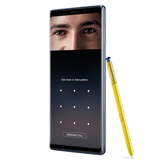 biometric authentication