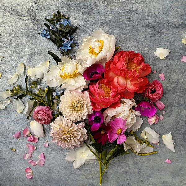 A photo taken by Galaxy Note9 of a bouquet of red, white, pink, and blue flowers against a grey surface, with petals scattered around