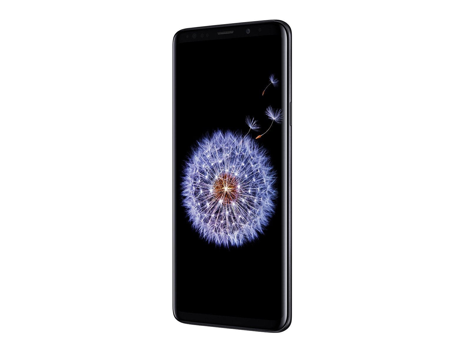 Thumbnail image of Galaxy S9+ 256GB (Unlocked)